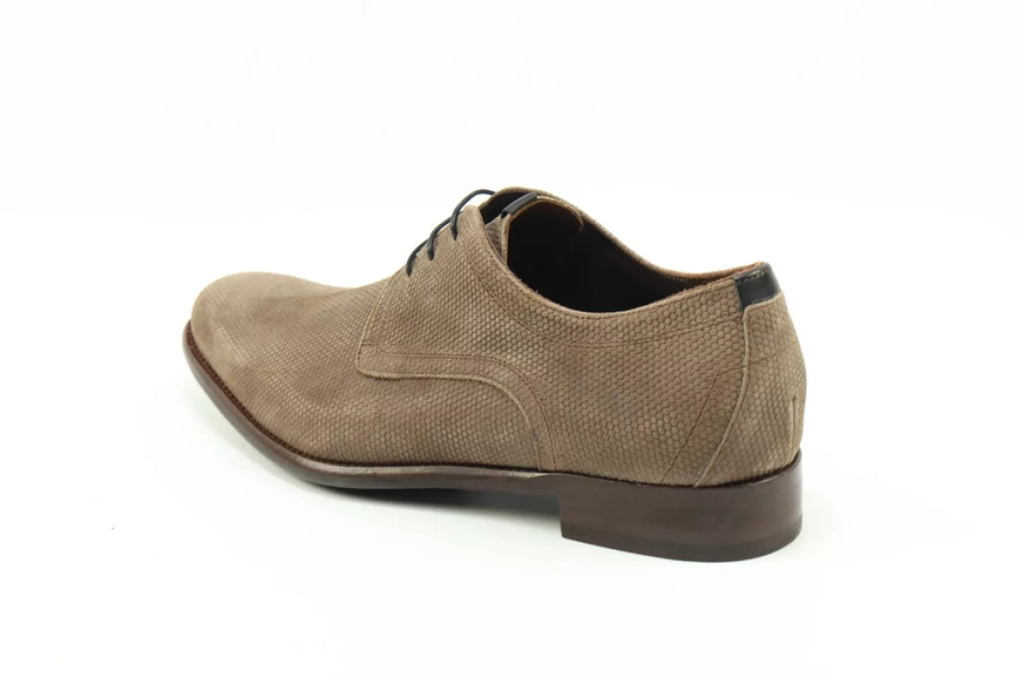 Floris van Bommel Floris van Bommel SFM-30316-34-02 / De Draver 03.22