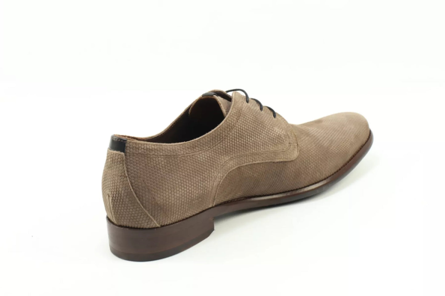 Floris van Bommel Floris van Bommel SFM-30316-34-02 / De Draver 03.22