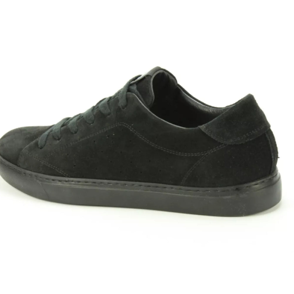 
                  
                    DLSport DLSport 3761
                  
                