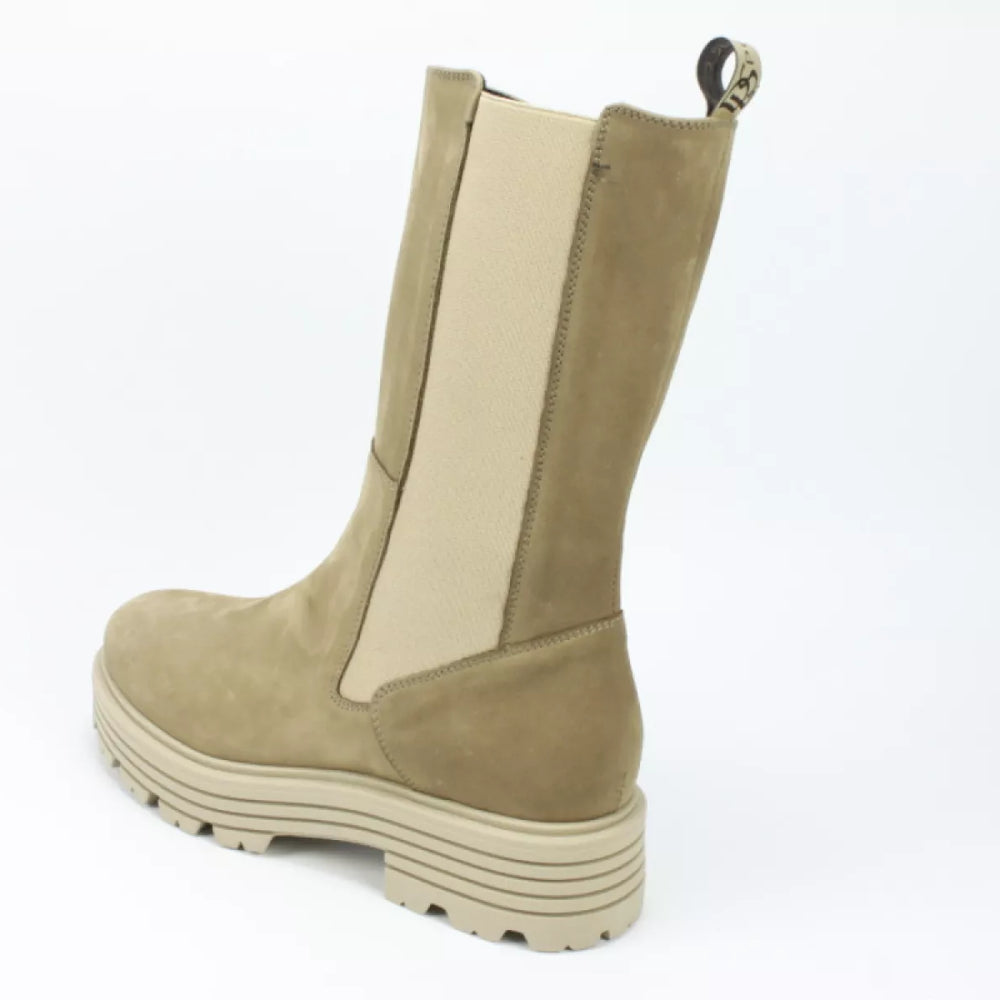 
                  
                    DLSport DLSport 6117
                  
                