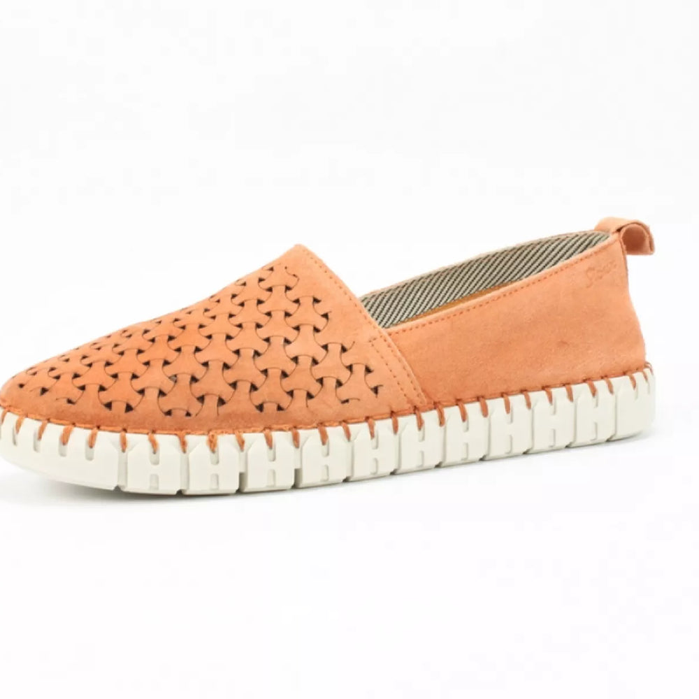 Sioux Sioux 6169291 rachida -700