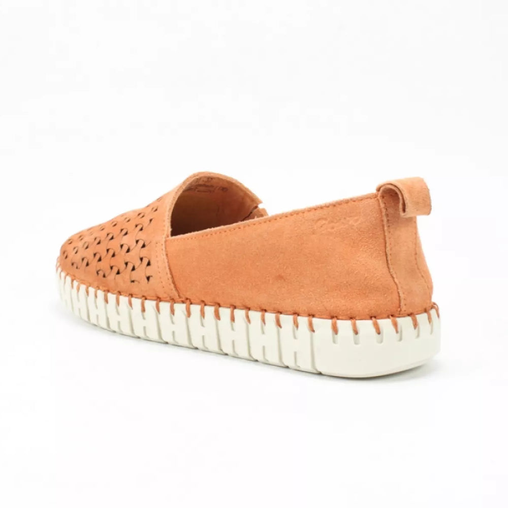 
                  
                    Sioux Sioux 6169291 rachida -700
                  
                