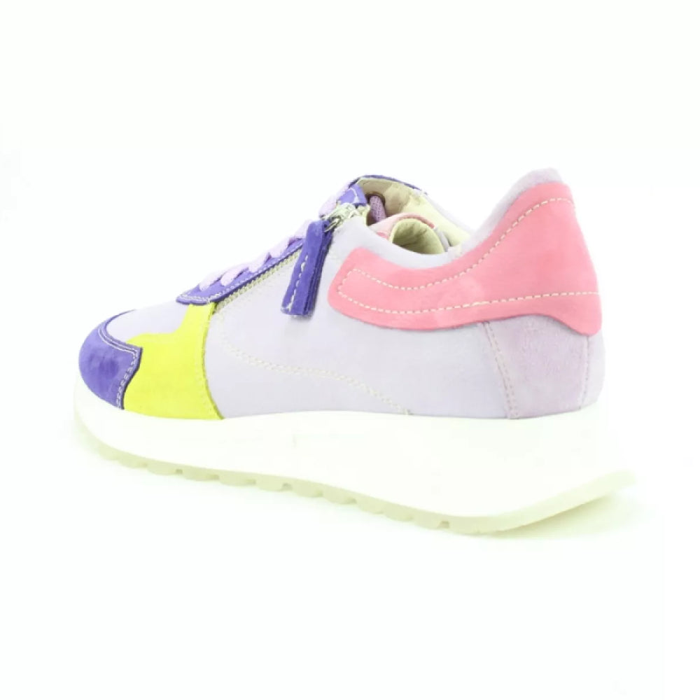 
                  
                    DLSport DLSport 6202 velours viola
                  
                