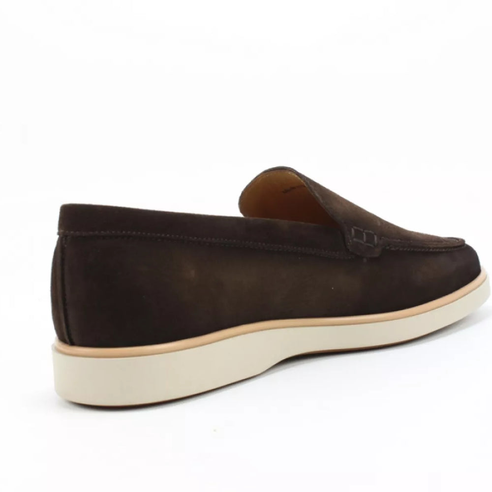
                  
                    Magnanni Magnanni 25117 crostidifu cacao
                  
                