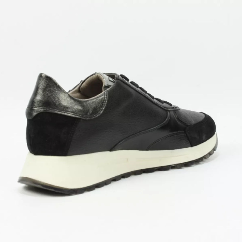 
                  
                    DLSport DLSport 6302 velour combi
                  
                
