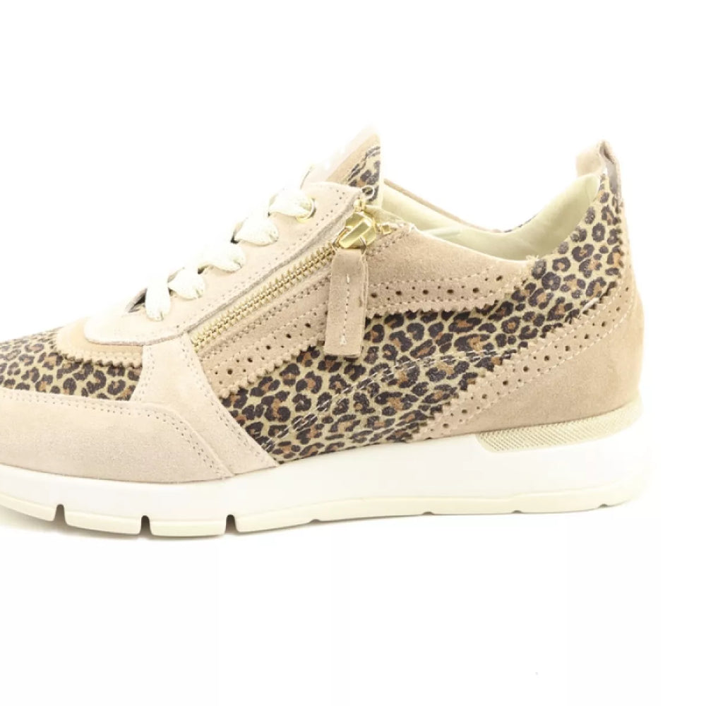 DLSport DLSport 6523 versione 0A velour sheer leopardo