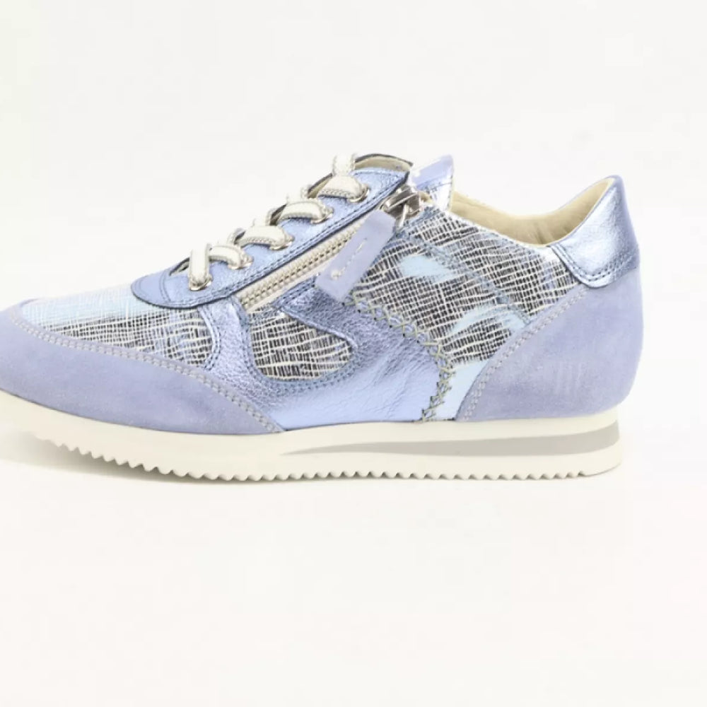 DLSport DLSport 6564 versione 09 velour illusion ancona celeste