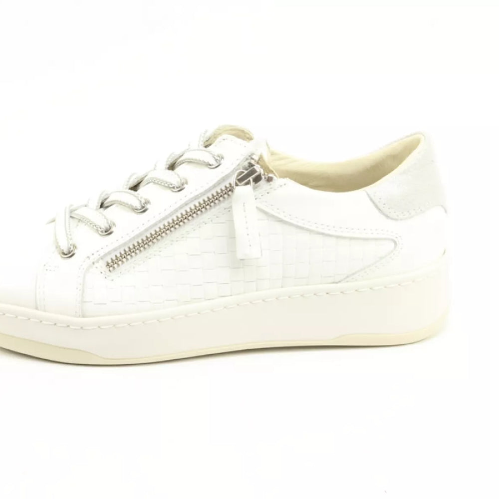 DLSport DLSport 6501 versione 01 sun