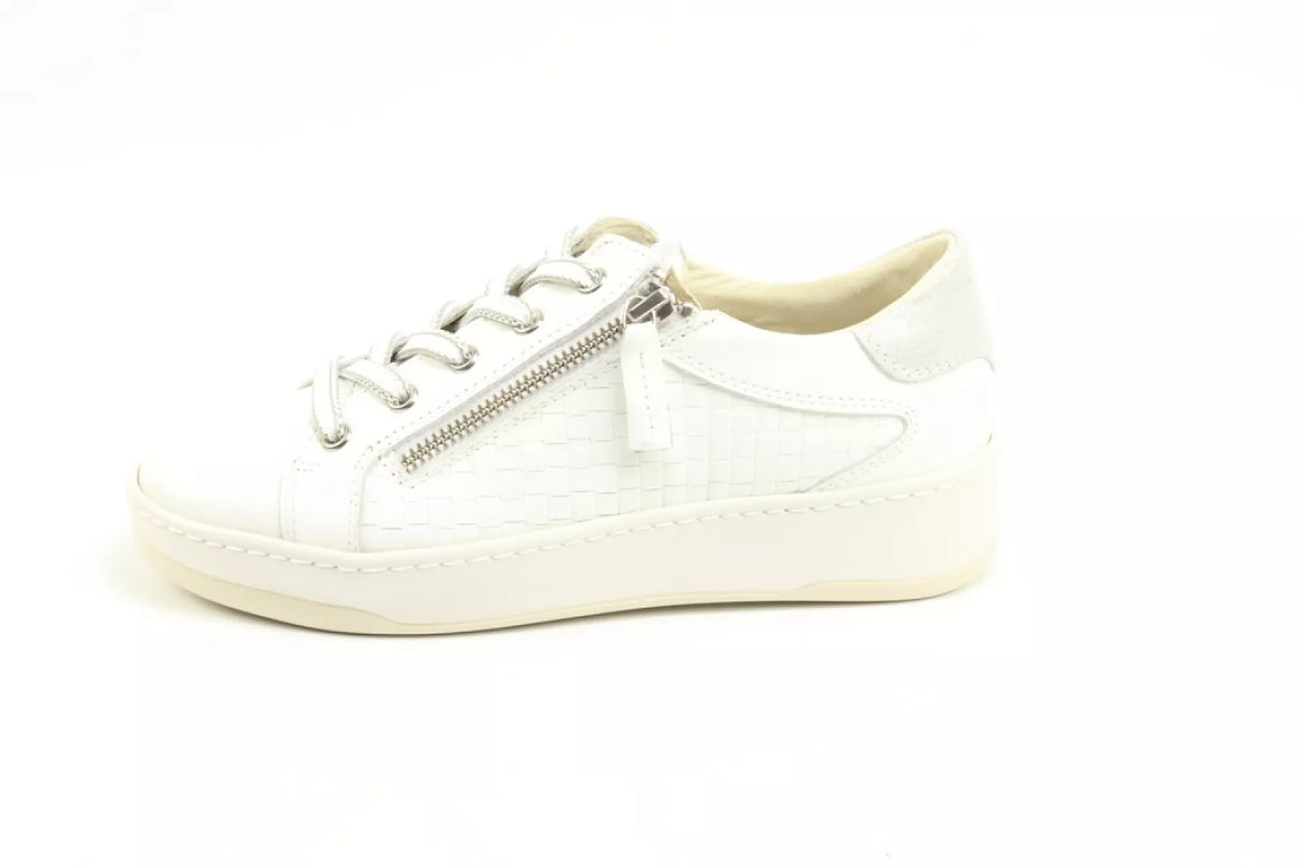 DLSport DLSport 6501 versione 01 sun