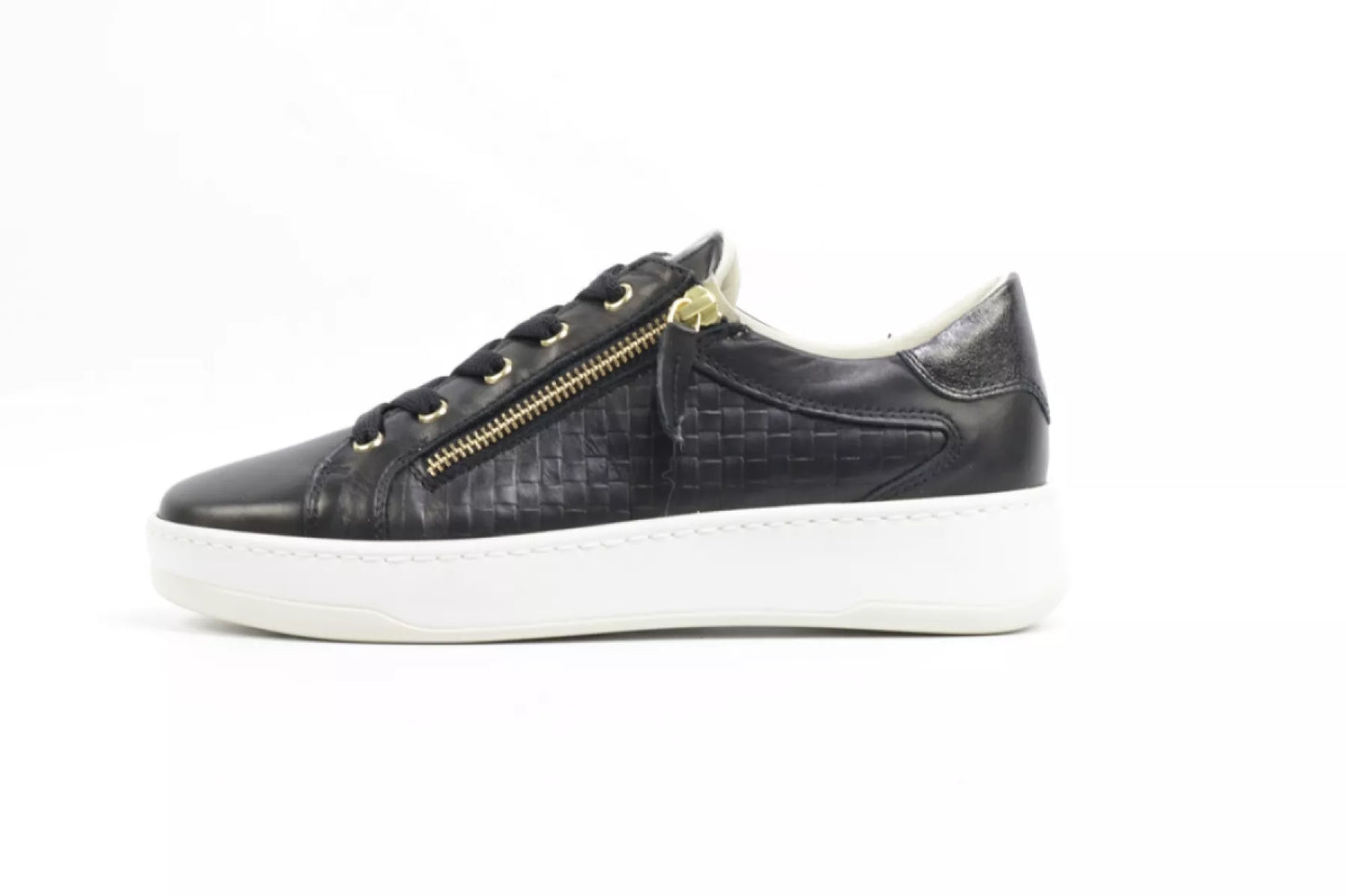 DLSport DLSport 6501 versione 0A sun