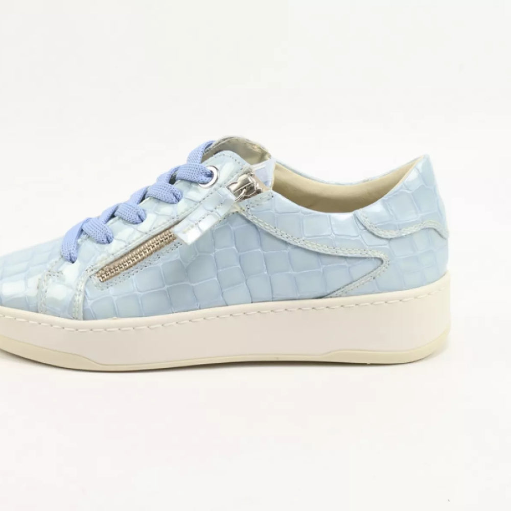 DLSport DLSport 6504 versione 0C navajo celeste