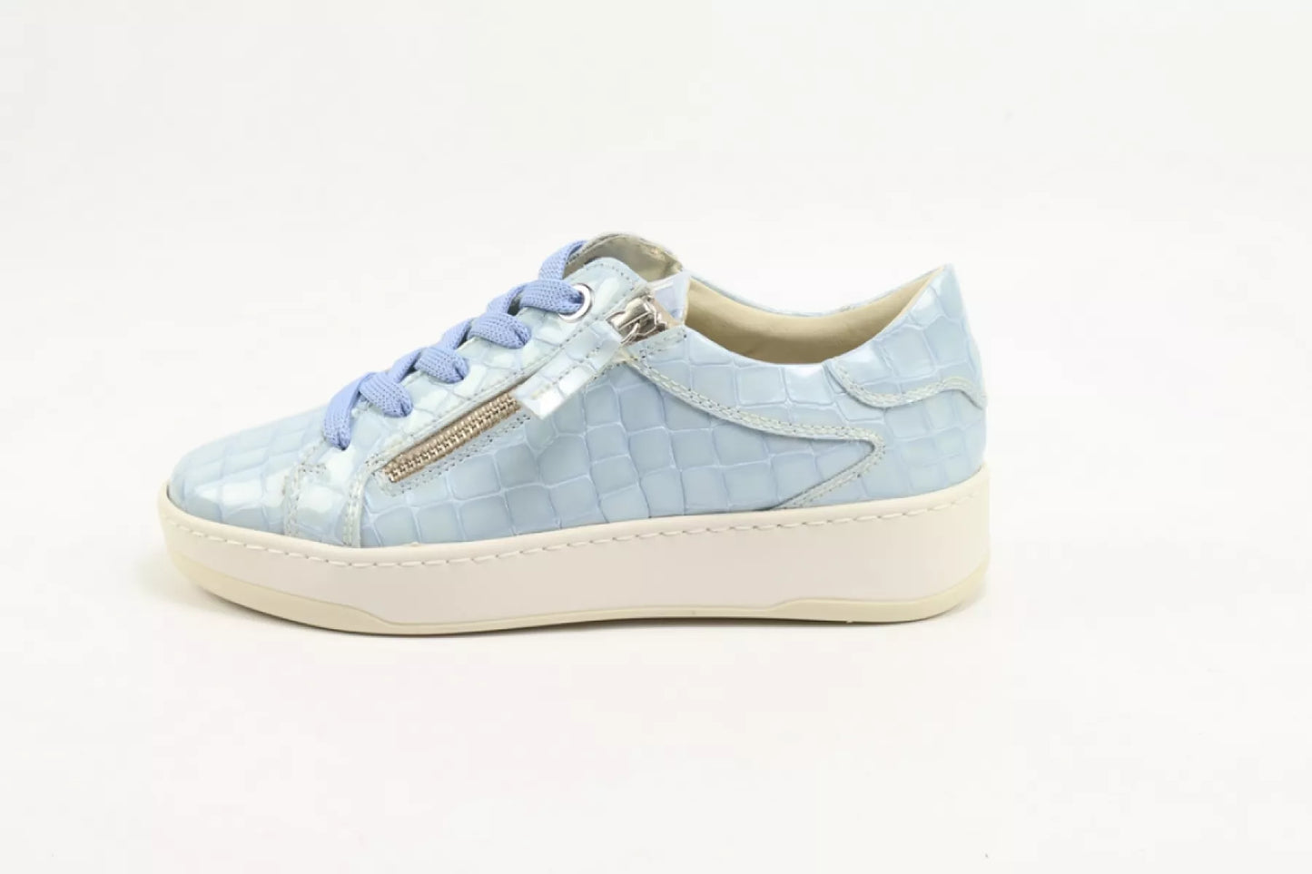 DLSport DLSport 6504 versione 0C navajo celeste