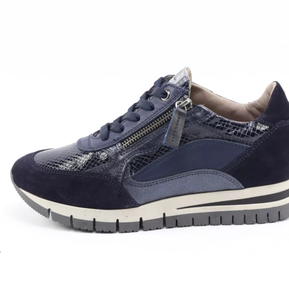 DLSport DLSport 6725 versione 07