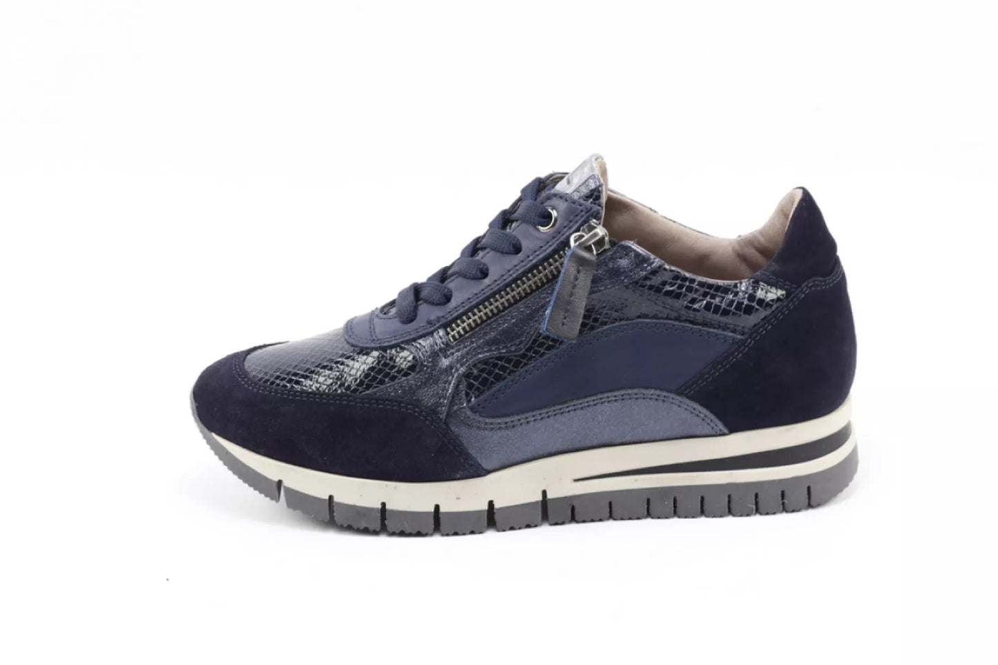 DLSport DLSport 6725 versione 07