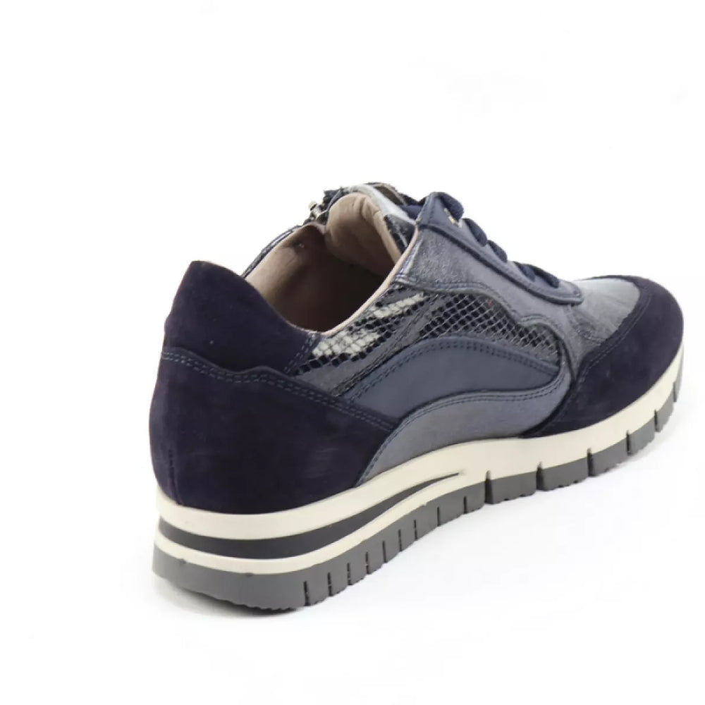 
                  
                    DLSport DLSport 6725 versione 07
                  
                