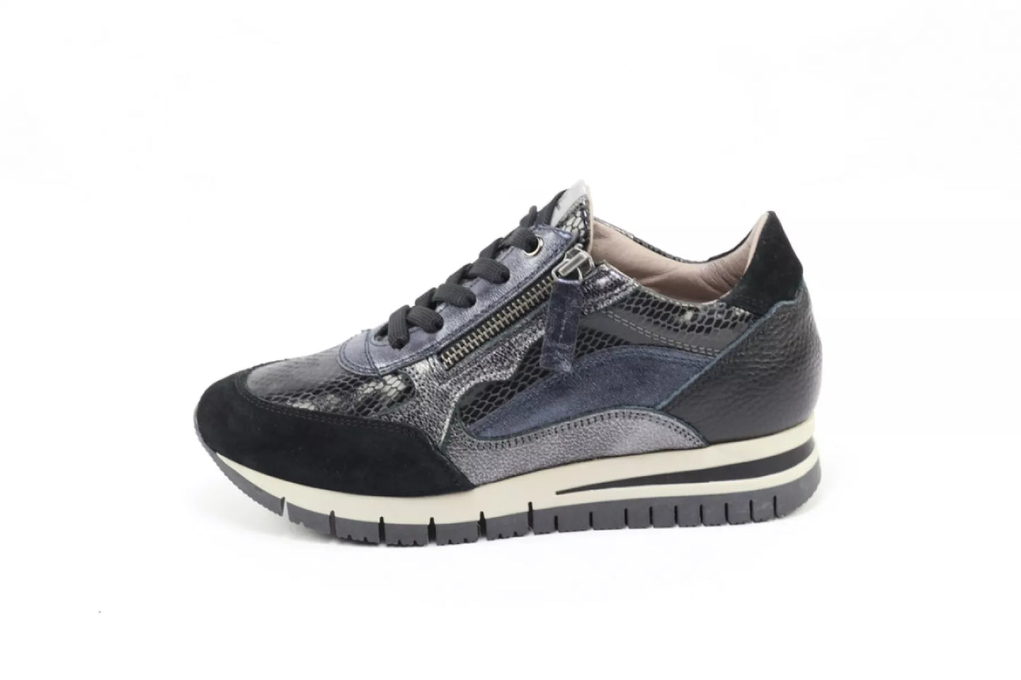 DLSport DLSport 6725 versione 01