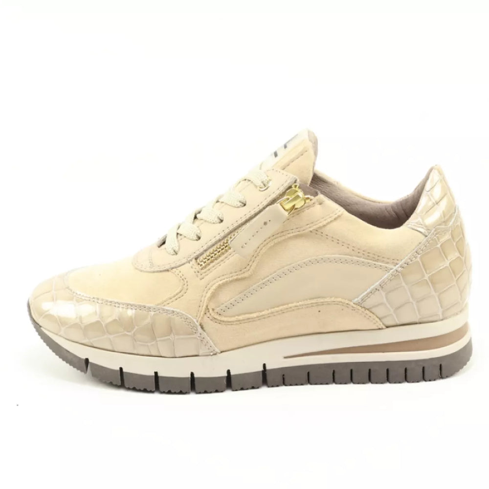 DLSport DLSport 6725 versione 0c