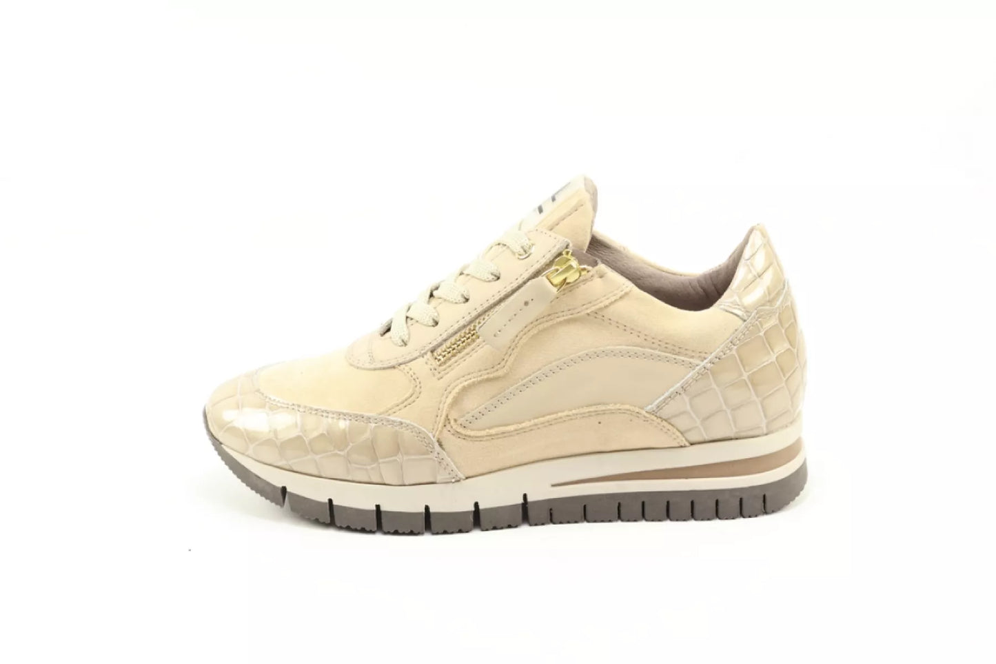 DLSport DLSport 6725 versione 0c