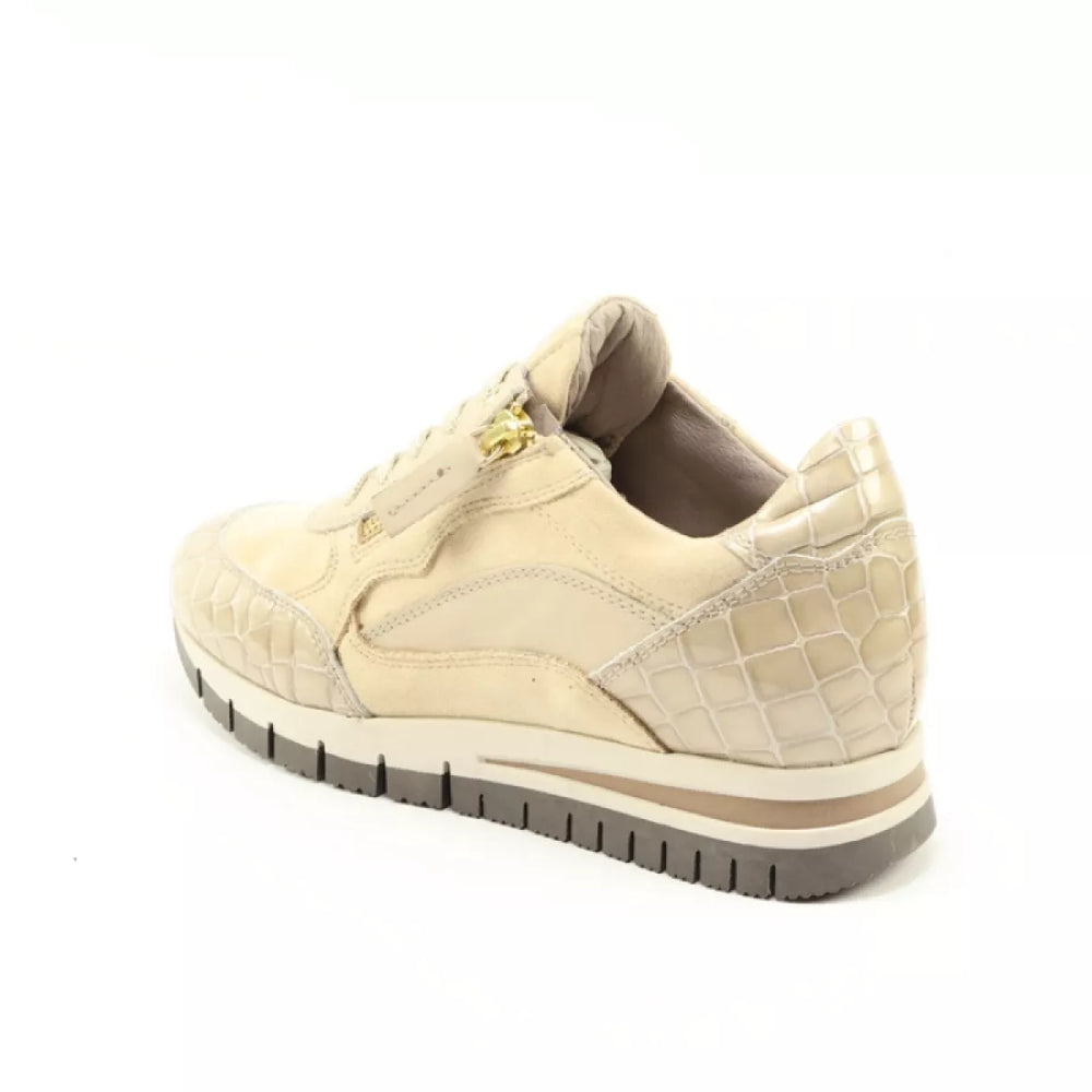 
                  
                    DLSport DLSport 6725 versione 0c
                  
                
