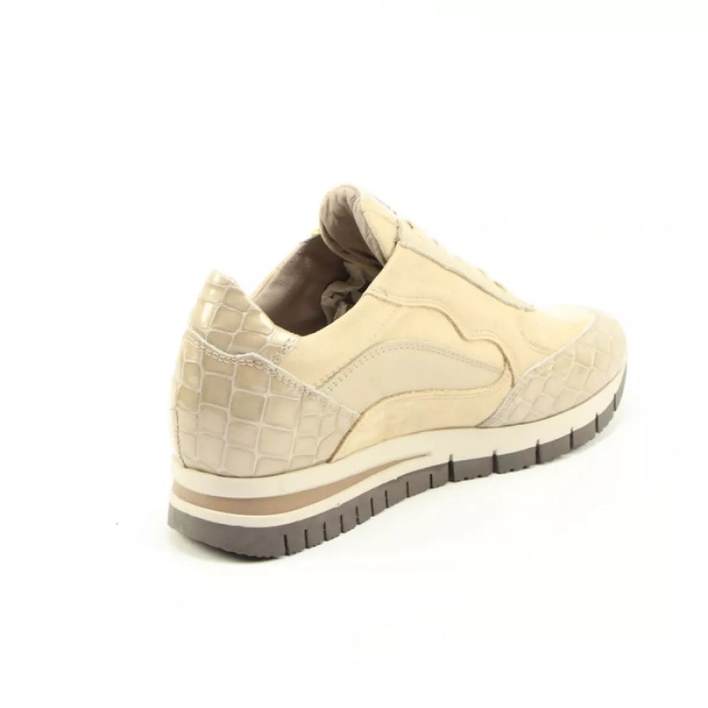 
                  
                    DLSport DLSport 6725 versione 0c
                  
                