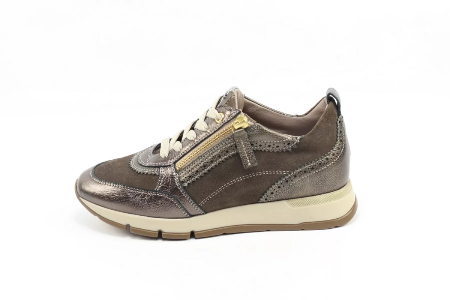 DLSport DLSport 6719 versione 02