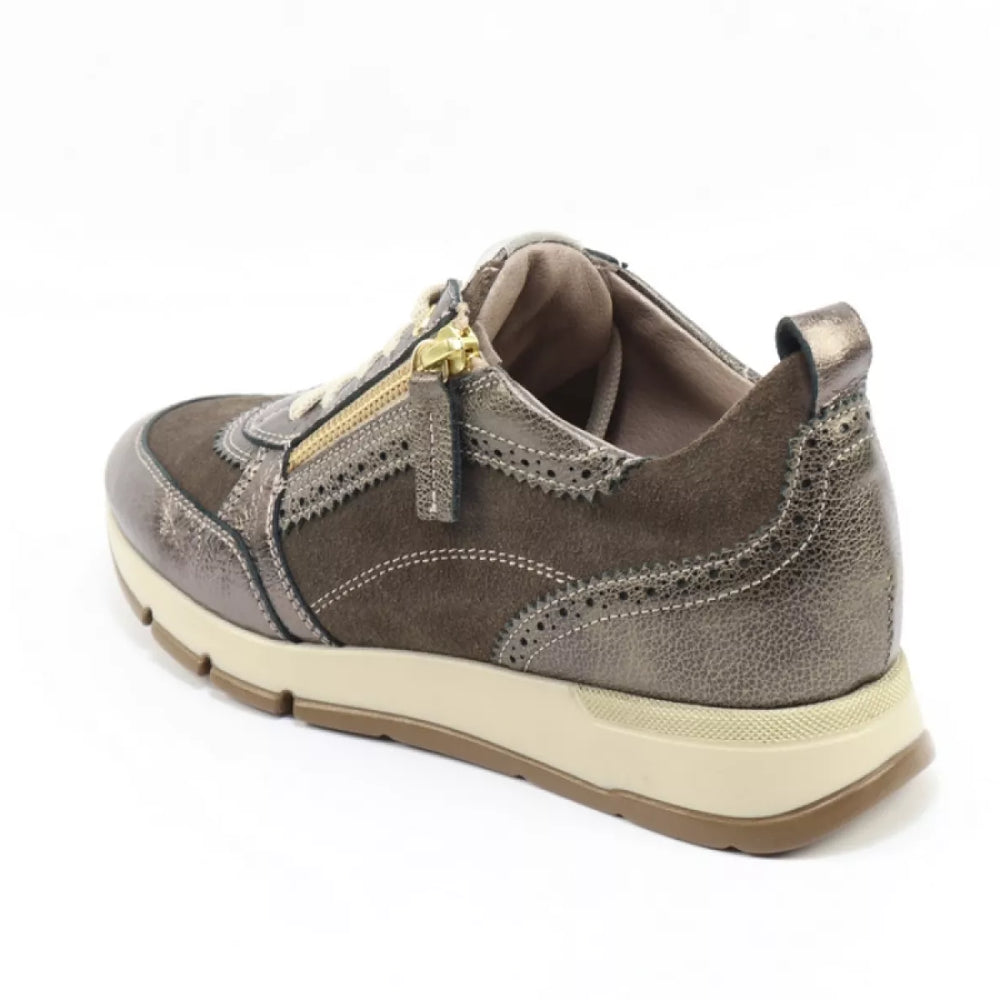
                  
                    DLSport DLSport 6719 versione 02
                  
                