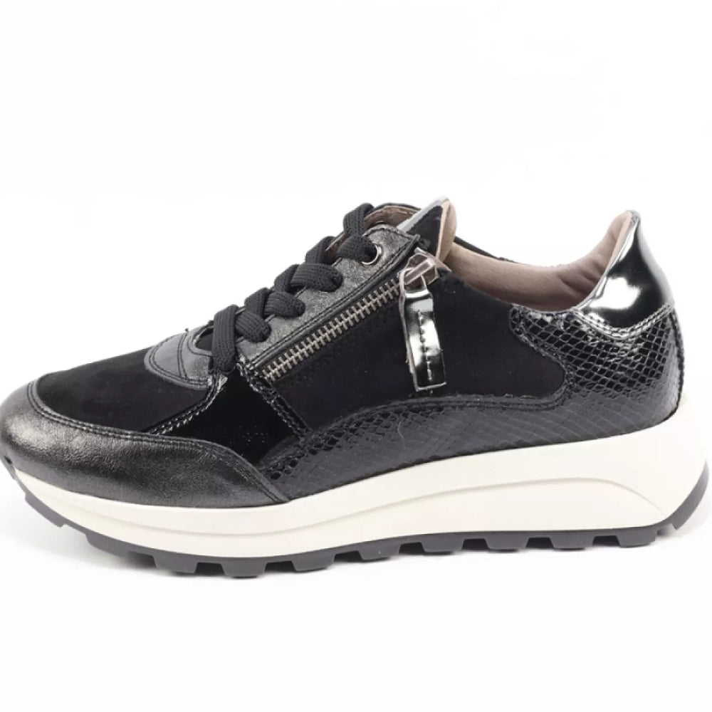 
                  
                    DLSport DLSport 6702 versione 03
                  
                