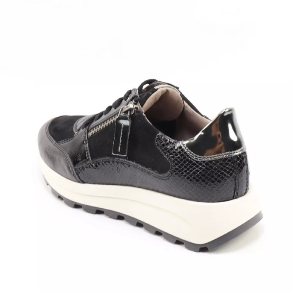 
                  
                    DLSport DLSport 6702 versione 03
                  
                
