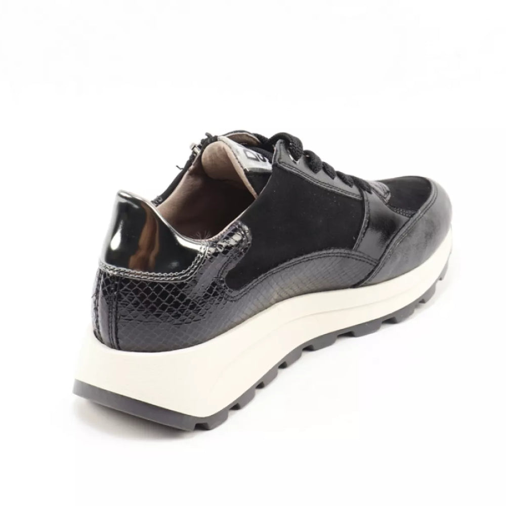 
                  
                    DLSport DLSport 6702 versione 03
                  
                
