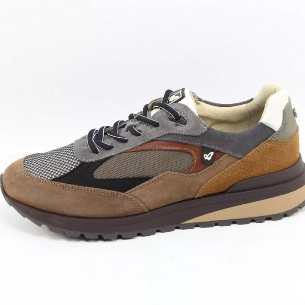 Australian Australian Sparrow 1700.01-L58