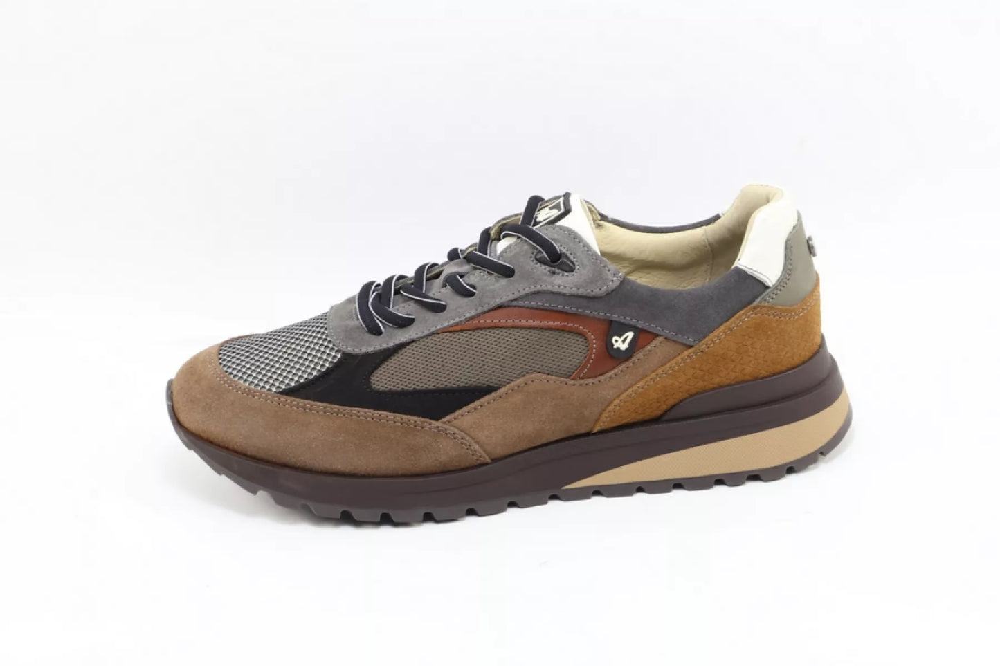 Australian Australian Sparrow 1700.01-L58