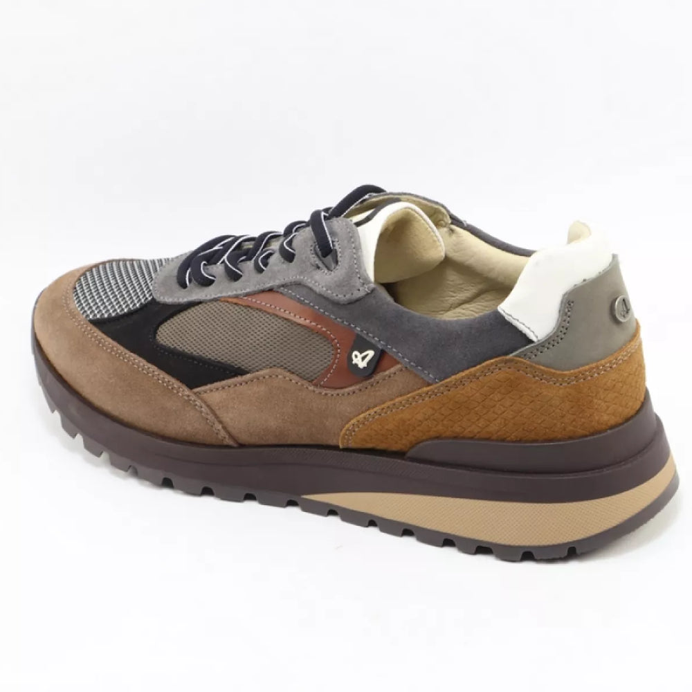 
                  
                    Australian Australian Sparrow 1700.01-L58
                  
                