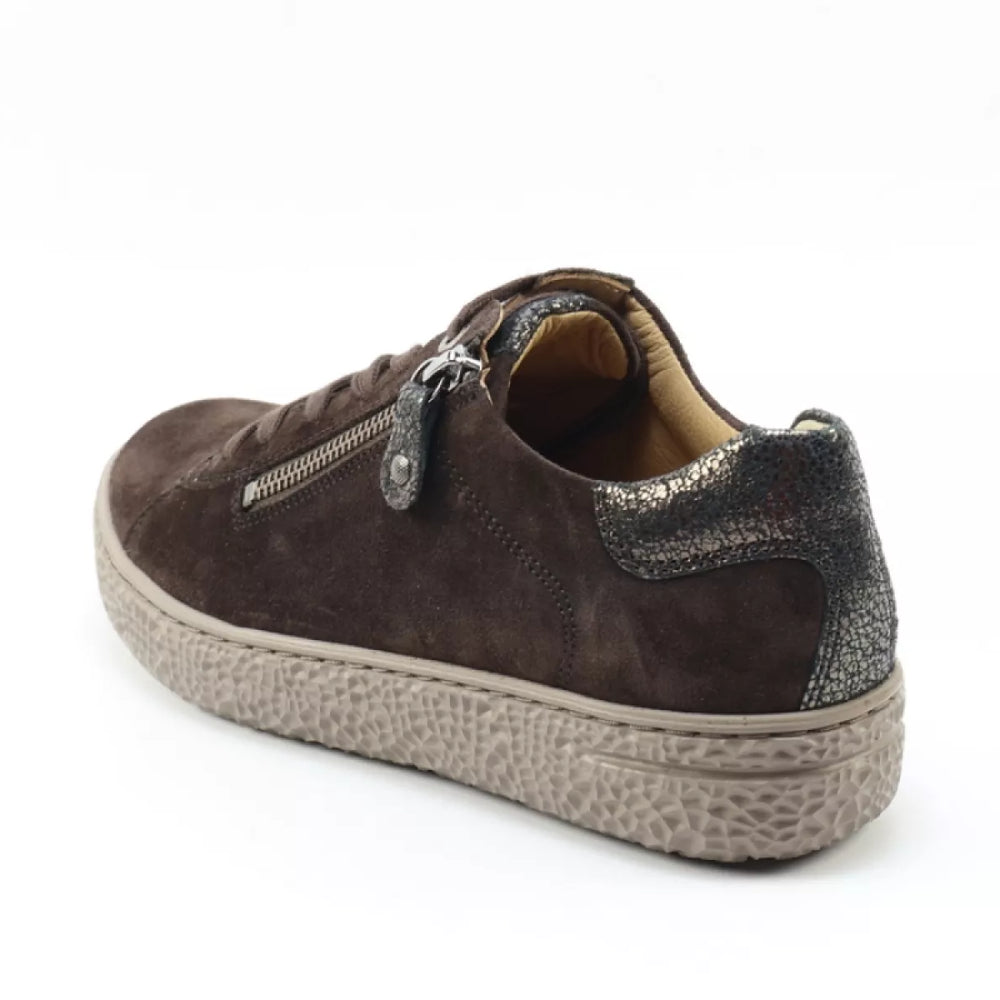 
                  
                    Australian Australian Connery 1646.03-AHC
                  
                