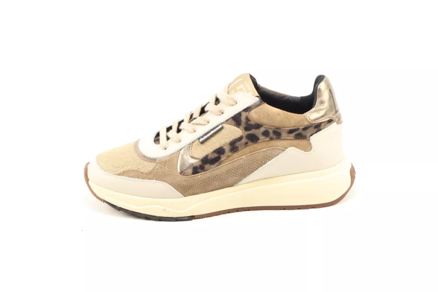 Floris van Bommel Floris van Bommel SFW-10159-34-01