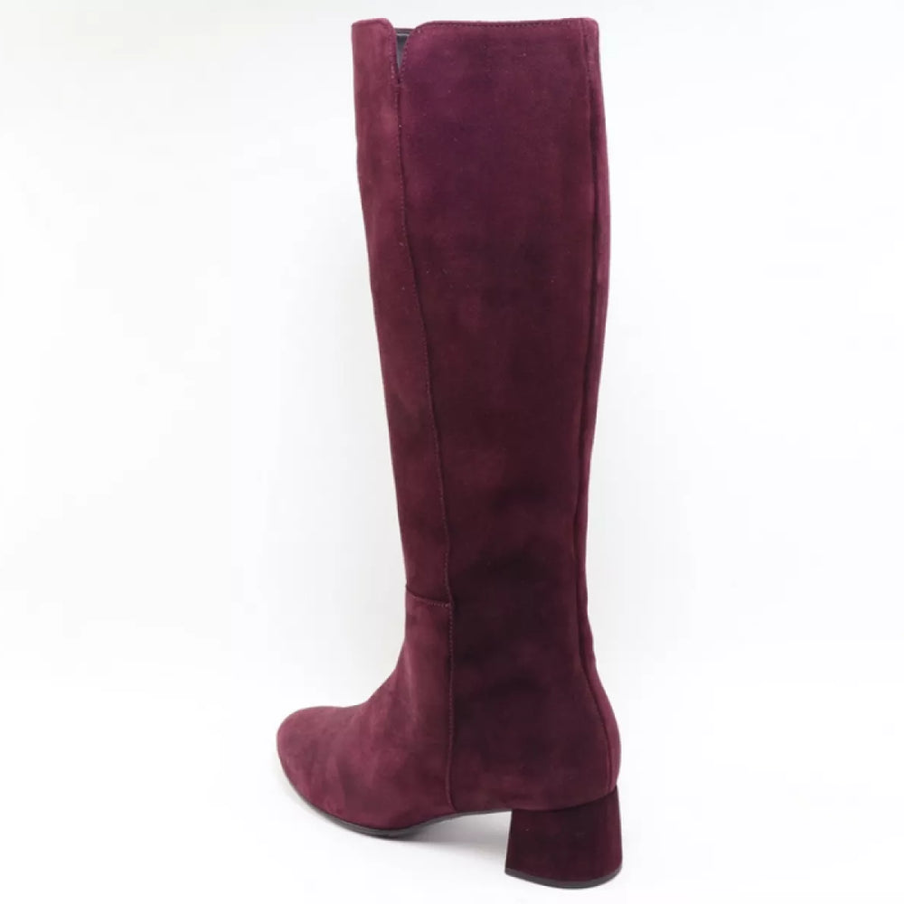 
                  
                    Gabor Gabor 75.689.15
                  
                