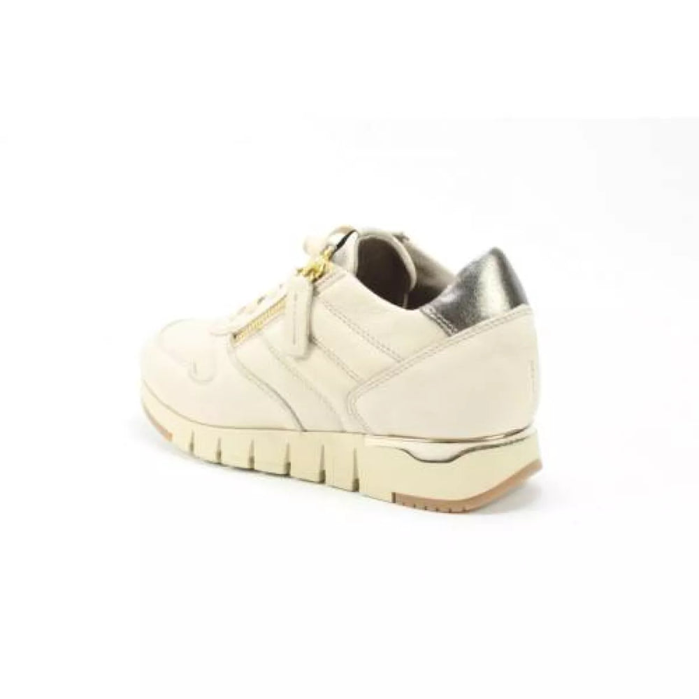 
                  
                    DLSport DLSport 5426 sport dune
                  
                