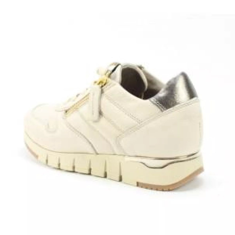 
                  
                    DLSport DLSport 5426 sport dune
                  
                