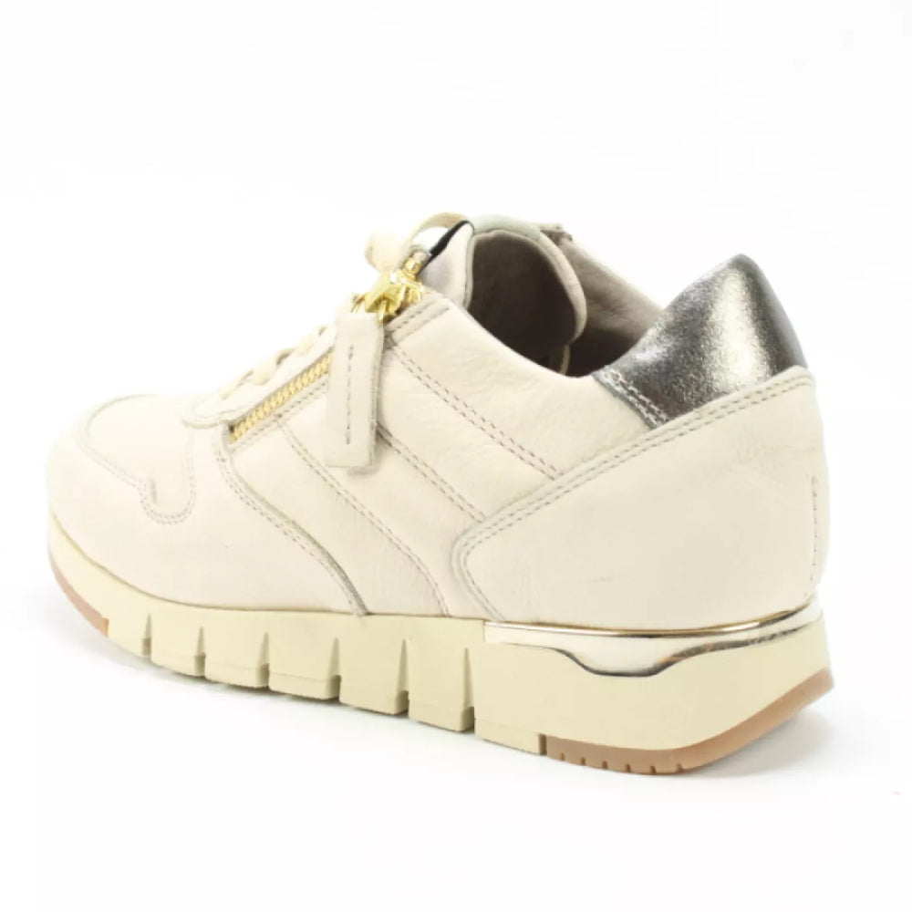 
                  
                    DLSport DLSport 5426 sport dune
                  
                