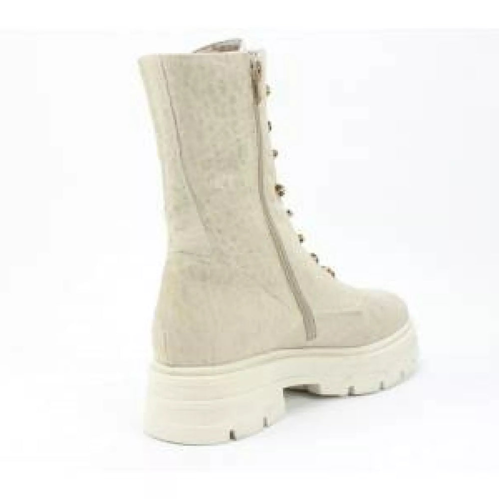 
                  
                    DLSport DLSport 5510 bisconte
                  
                