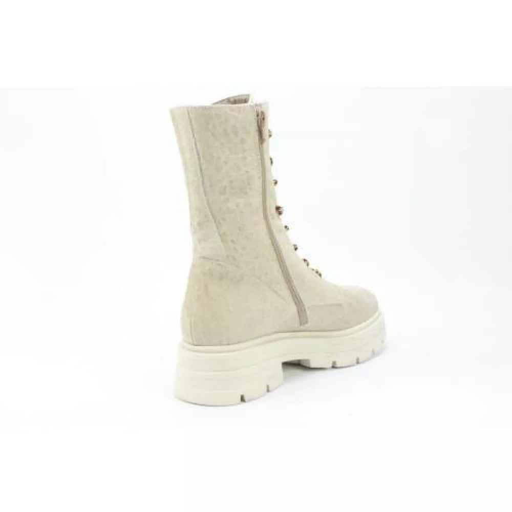 
                  
                    DLSport DLSport 5510 bisconte
                  
                