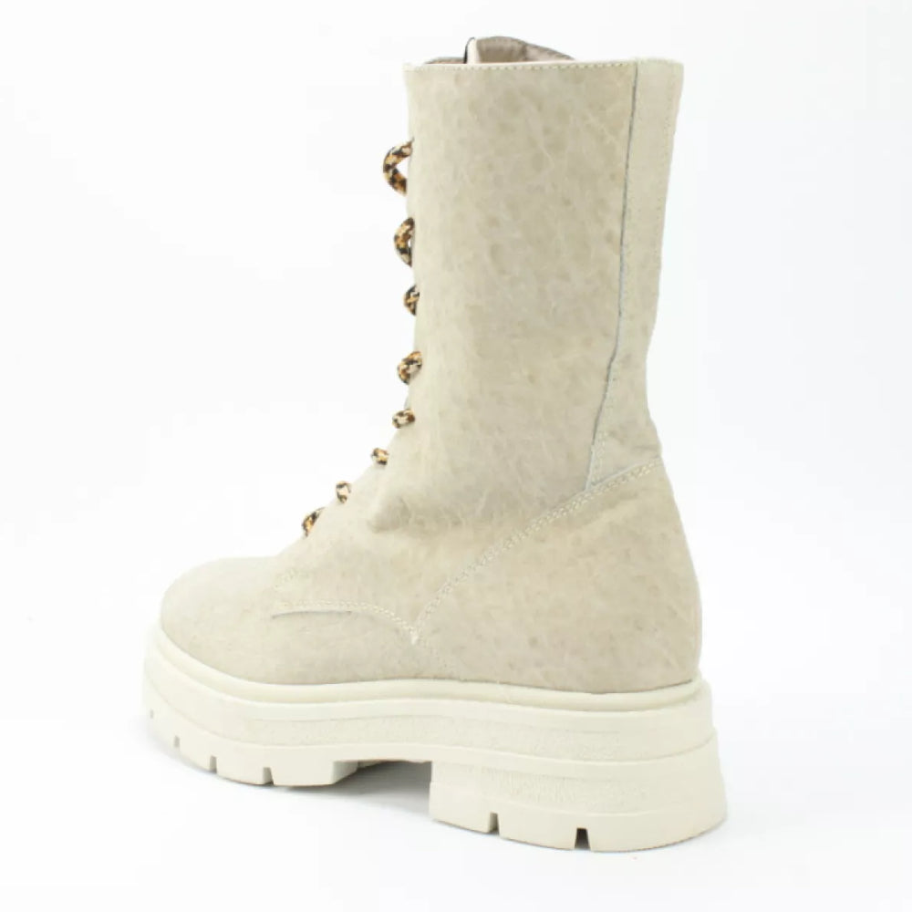 
                  
                    DLSport DLSport 5510 bisconte
                  
                