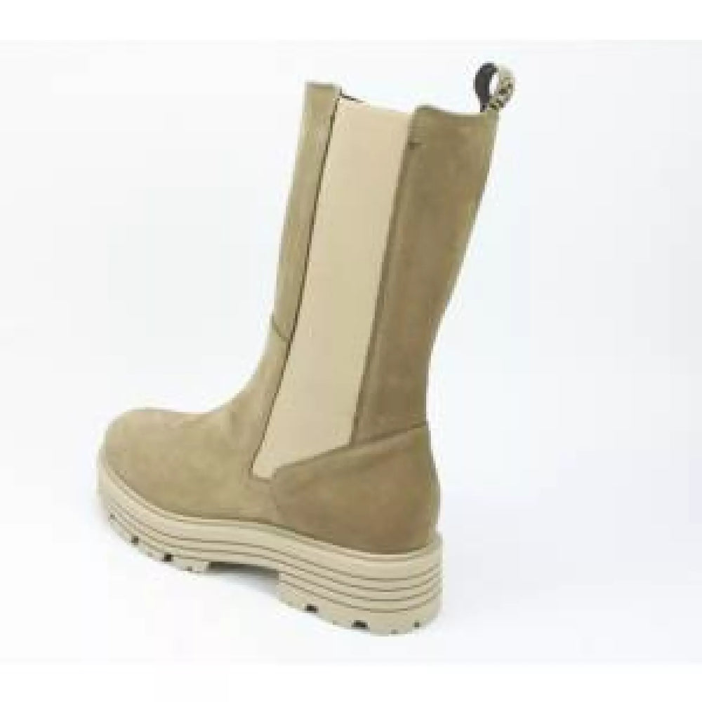 
                  
                    DLSport DLSport 6117
                  
                