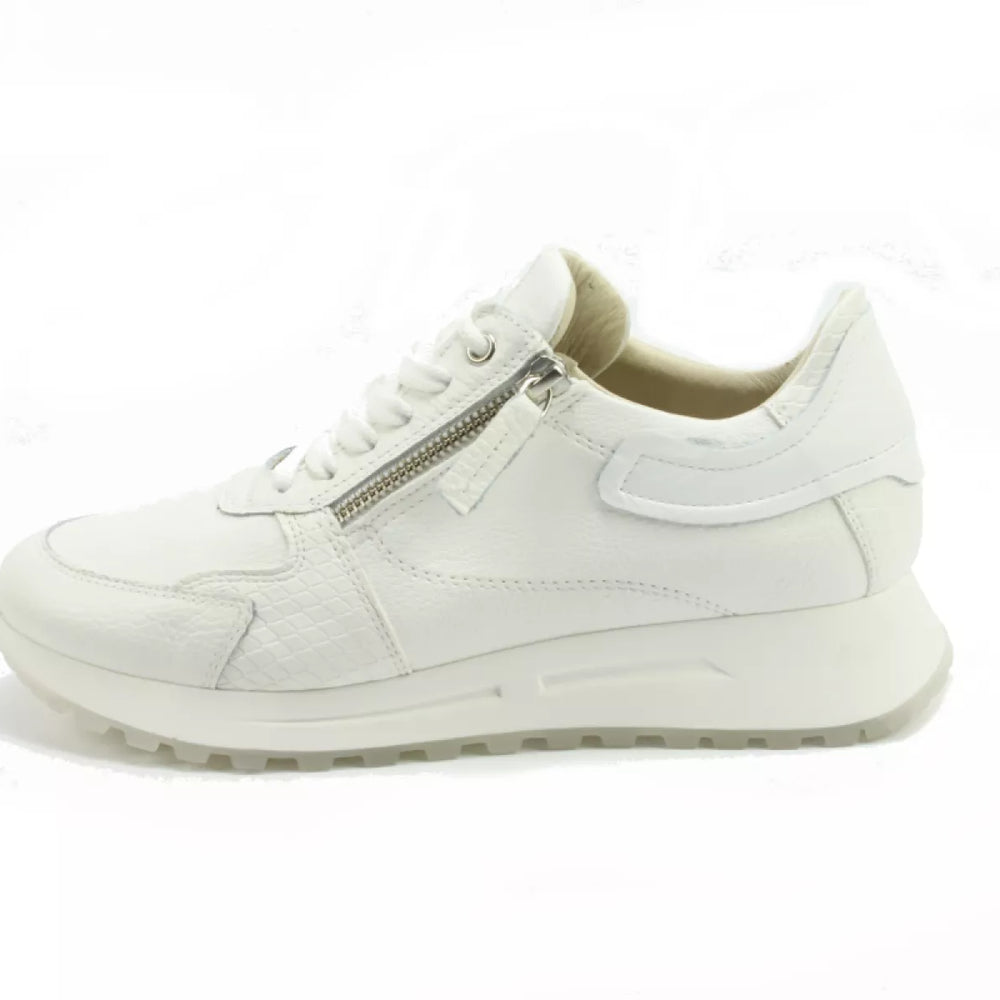 DLSport DLSport 6202 bianco
