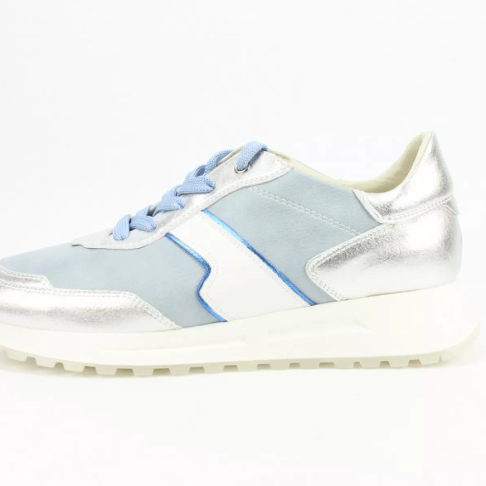 
                  
                    DLSport DLSport 6203 mars argento
                  
                