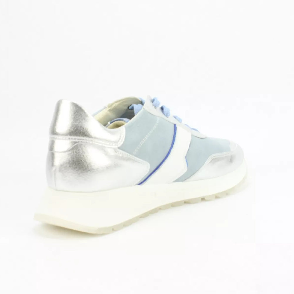 
                  
                    DLSport DLSport 6203 mars argento
                  
                