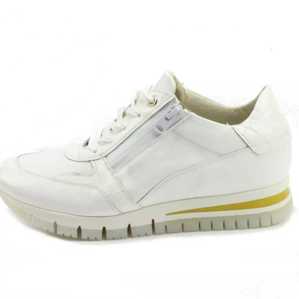 DLSport DLSport 6220 naplak