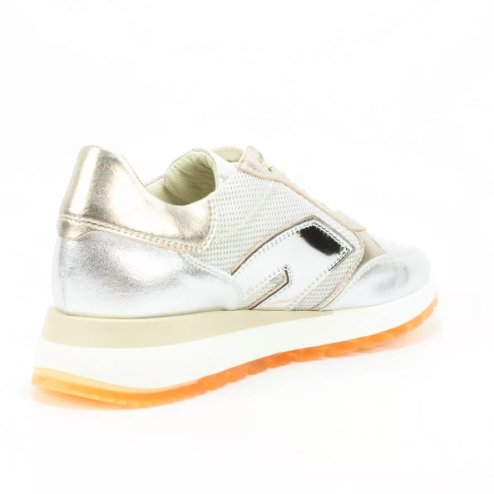 
                  
                    DLSport DLSport 6225 mars argento
                  
                