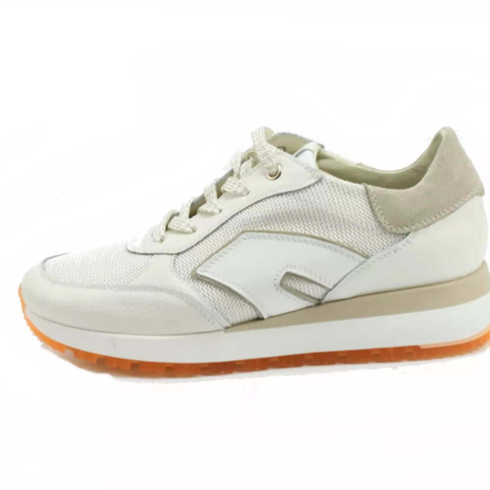 
                  
                    DLSport DLSport 6225
                  
                