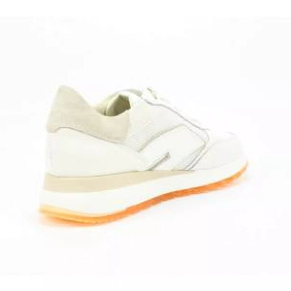 
                  
                    DLSport DLSport 6225
                  
                