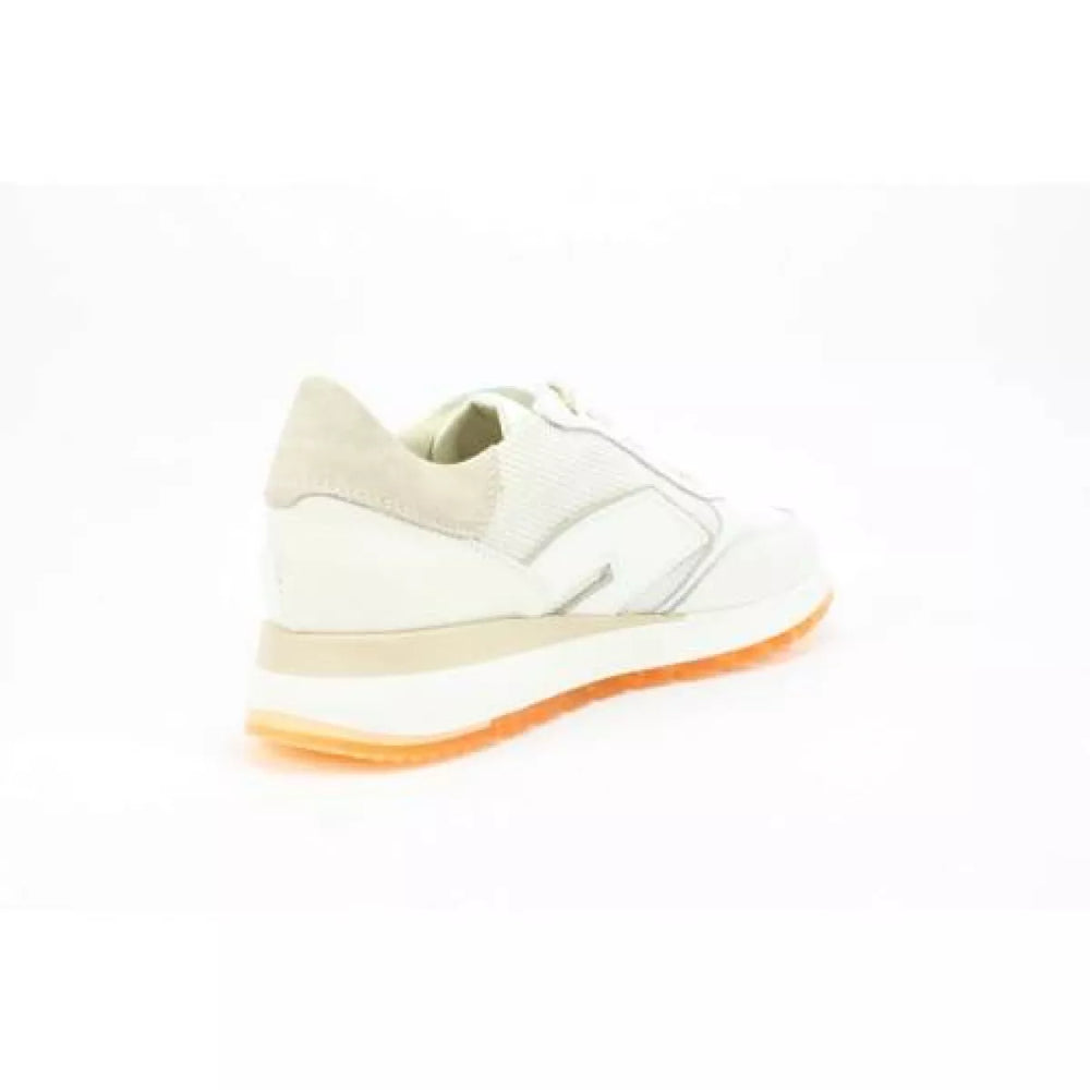 
                  
                    DLSport DLSport 6225
                  
                